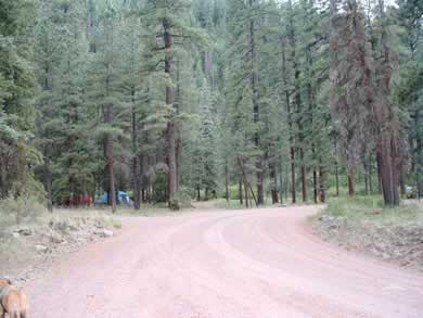Looking back at Aspen Campground
