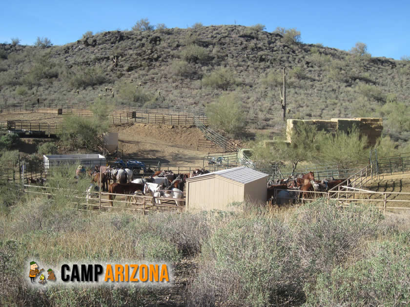 Cave Creek Trail Rides is just up the road from the campground