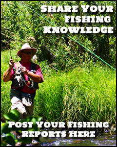 Share your fishing knowledge