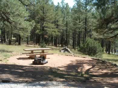 A Campsite At Lake View Campground