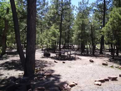 A campsite at Mogollon Campground