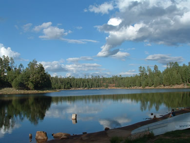 Mogollon Campground Near Woods Canyon Lake