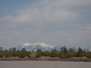 The view of the San Fransisco Peaks from Ashurst Lake